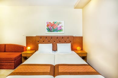 Double Room for Single use