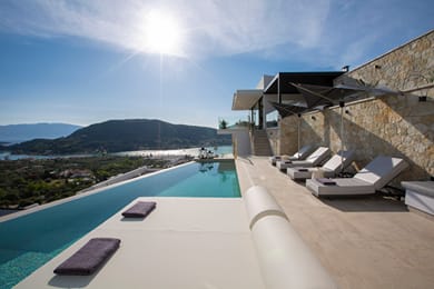 Pothos Majestic Villa