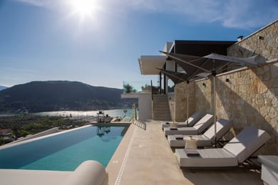 Pothos Majestic Villa