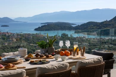 Pothos Majestic Villa