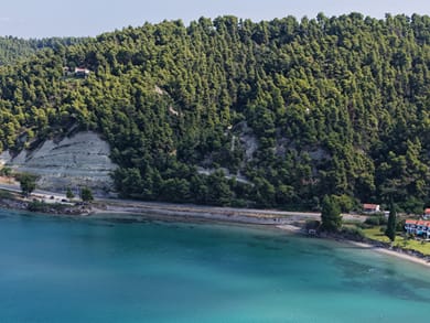 Panthea Studios by Greek Pride - Image 3