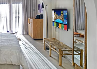 Junior Suite with Terrace and Private Plunge Pool