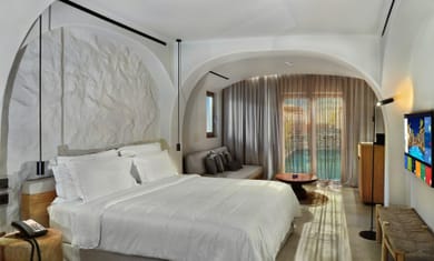 Junior Suite with Terrace and Private Plunge Pool