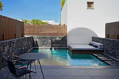 Premium Room with Terrace and  Private Plunge Pool