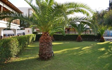 Aria Seaside Retreat Hotel Halkidiki - Image 2