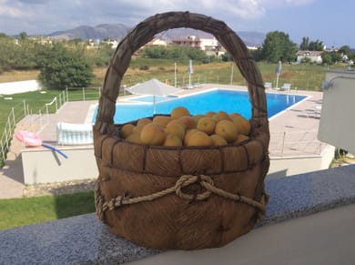 Reina Apartments - Image 7