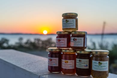 Remvi Studios - Image 2