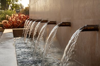 The Ritual - Image 2