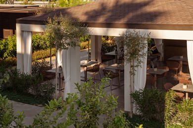 The Ritual - Image 7