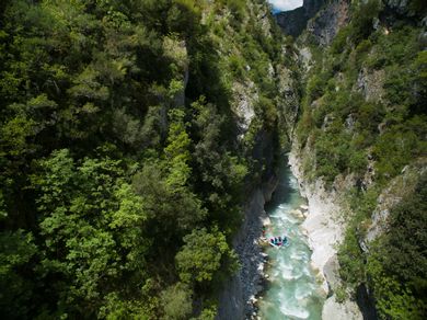 RODAMI
