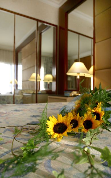 Junior Suite Sea View