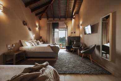 Superior Suite