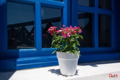 Roula Villa Santorini - Image 6