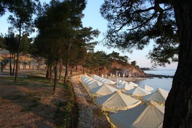 Royal Paradise Beach Resort and Spa - Image 5