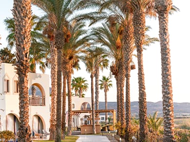 Grecotel Casa Paradiso - Image 3