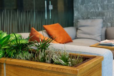 Ruskovets Resort - Image 3