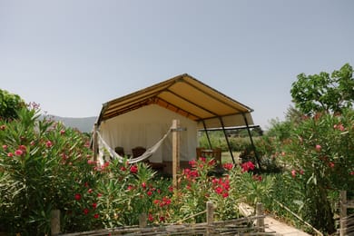 Glamping Tent