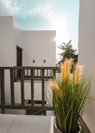 Sandom Holistic Welcome Experience Paros - Image 3