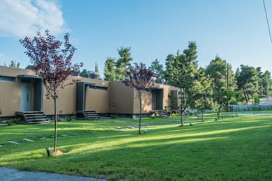 Sani More & Sani Woods - Image 7