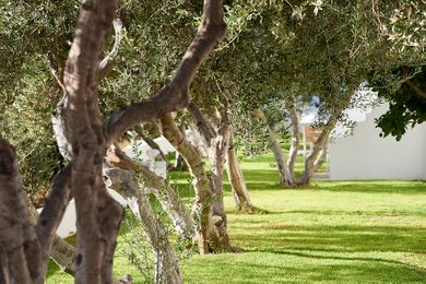 Santa Maria Village Milos - Image 7