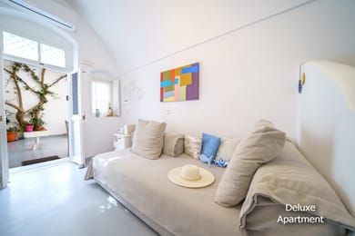 Traditional Apartment