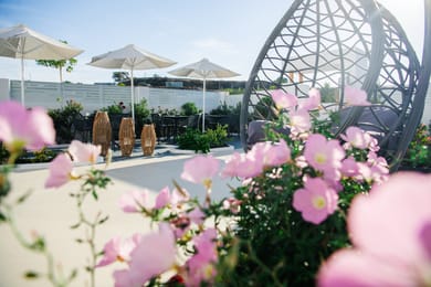 Santoterra Antigua Luxury Suites - Image 4