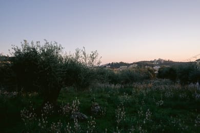 Sarah Luxury Rooms - Image 7