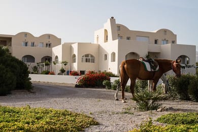 Sea Sound - White Katikies Luxury Hotel - Image 3