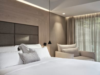 Deluxe Double Room with Terrace