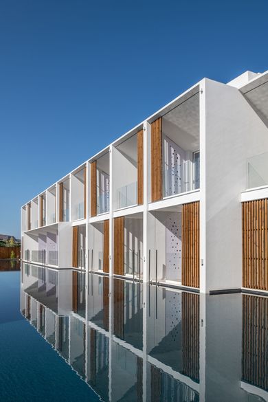 Sensus Experience By Lavris - Image 5