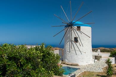 Sifnos Roots - Image 3