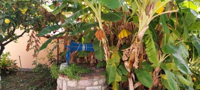 Sipsas Villas - Image 5