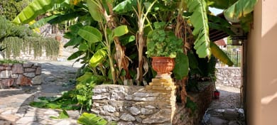 Sipsas Villas - Image 6