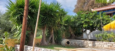 Sipsas Villas - Image 7