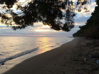 Sithonia Lodge Chalkidiki - Image 4