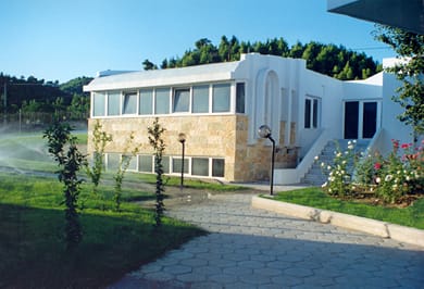 Skion Palace Beach Hotel - Image 3