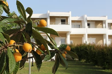 Skion Palace Beach Hotel - Image 7