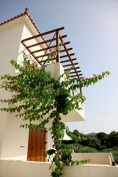 Skopelos Summer Homes - Image 5
