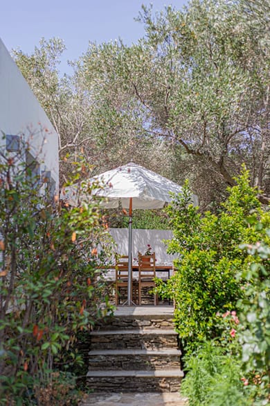 Small Paradise - Image 3