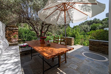 Small Paradise - Image 4