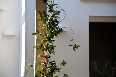 Smaragdi Hotel Sifnos - Image 4