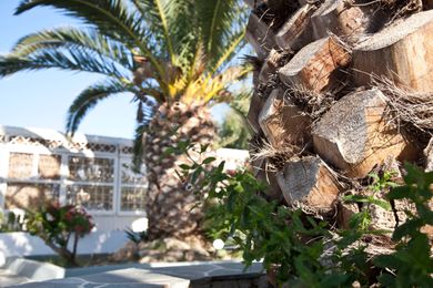 Smaragdi Hotel Sifnos - Image 6