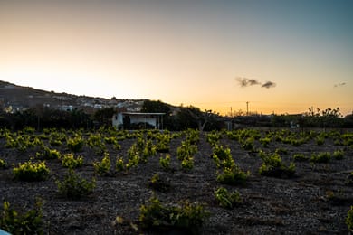SN Santorini Apartments - Image 4