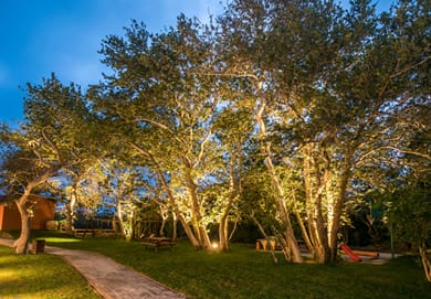 South Coast Hotel - Image 6