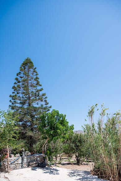 Spilia Suites Hotel Mykonos - Image 2