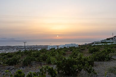 Agios Antonios Houses - Image 3