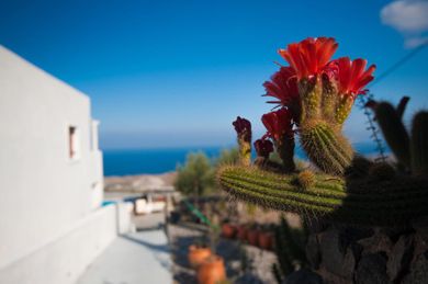 Splendour Hotel and Suites - Image 2