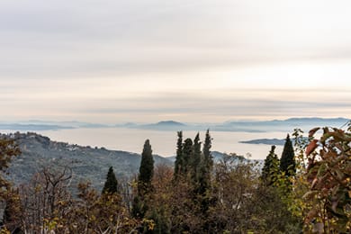 Stefani tis Makrinas - Image 2