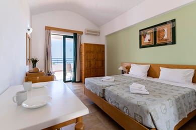 Double or Twin Room