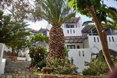 Studio Irene Andros - Image 7